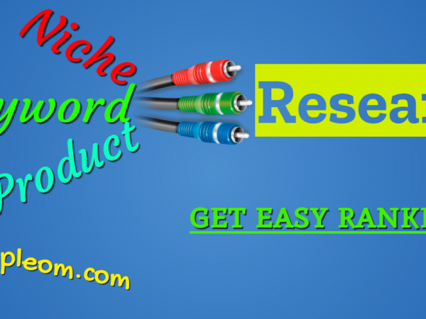 niche keyword
